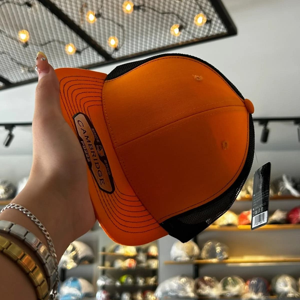 Cambridge Pitbull - Orange/Black